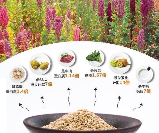 藜麥米